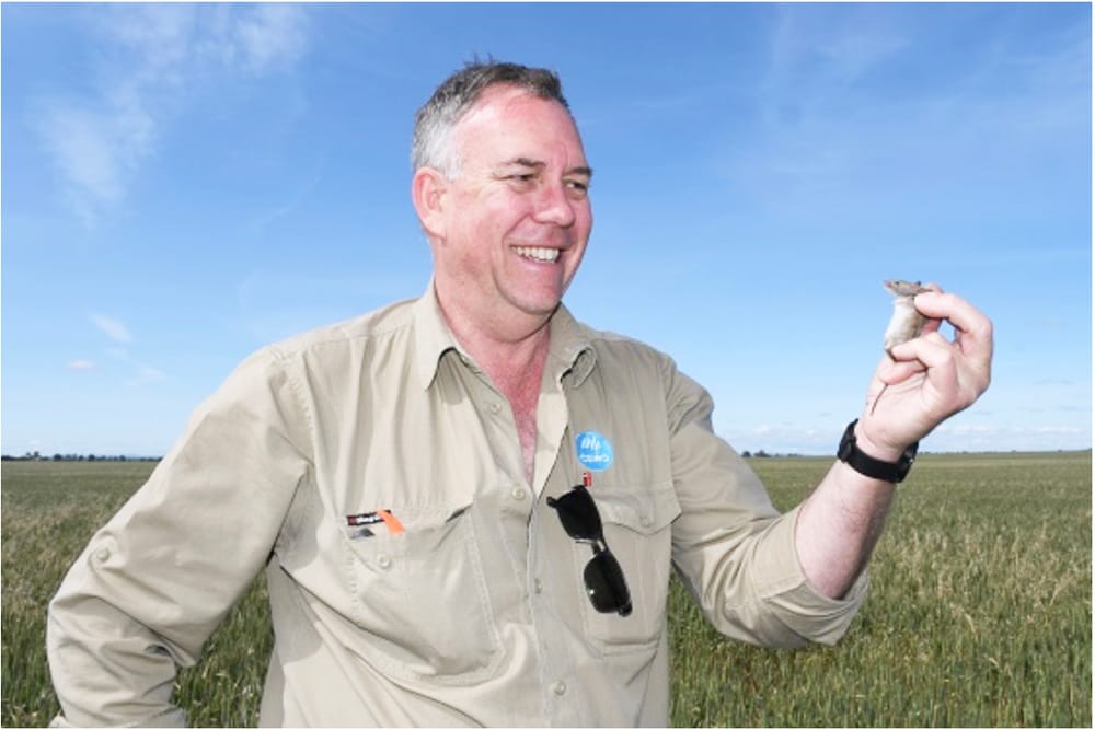 Minimise the Menu for Mice post image