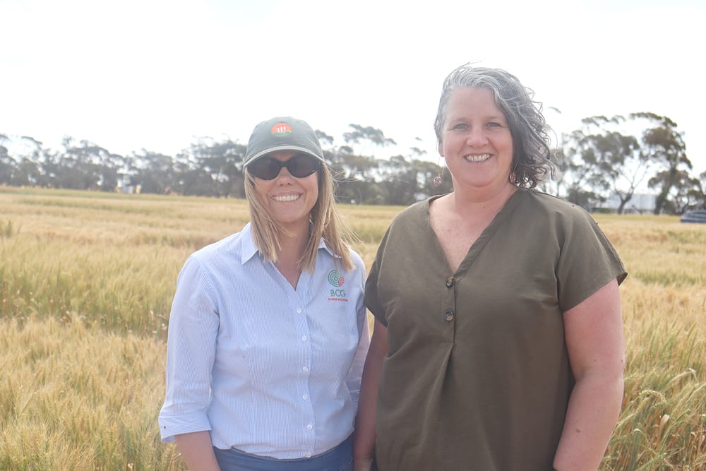 New Faces for BCG Research Committee post image