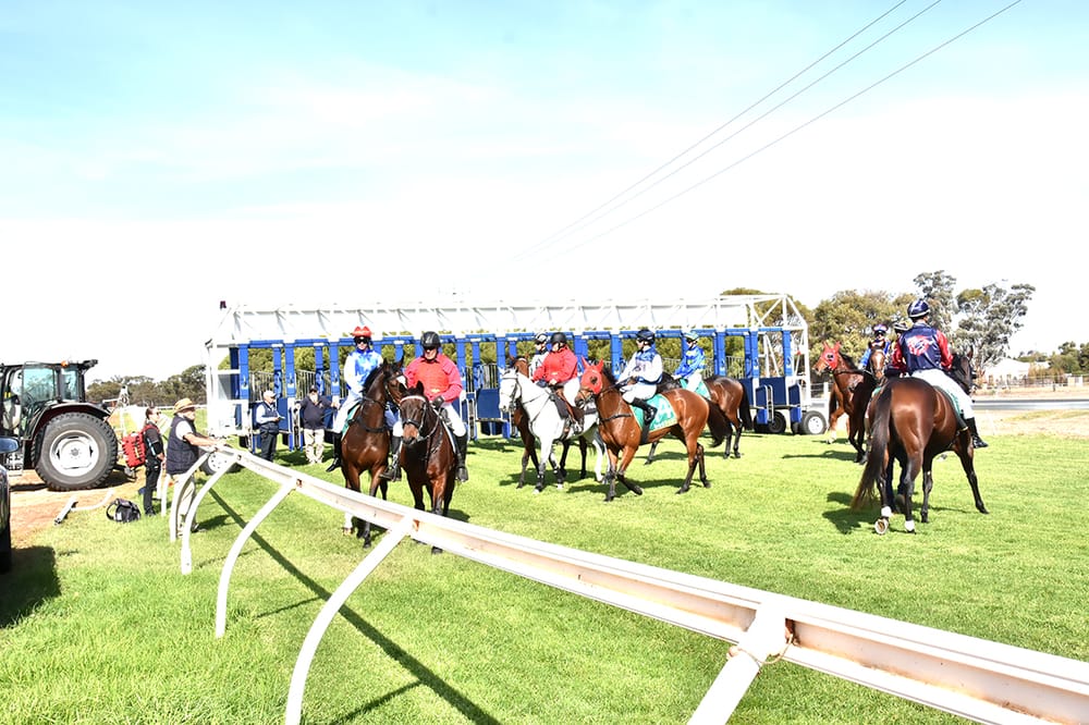 Unique Double for Winning Trainer post image