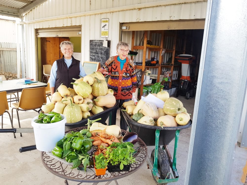 Harvest Time at Red Gate Garden post image