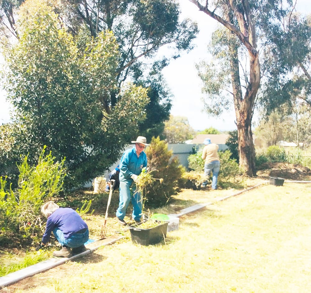 Lions’ Monster Weed-a-thon post image