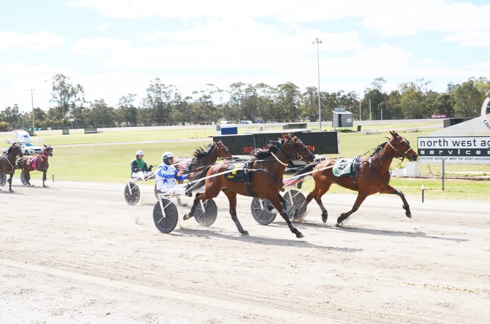 Sensational Finish at Charlton Trots post image