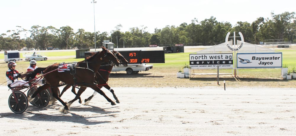 Aladdin Wins South “Oz” Derby post image