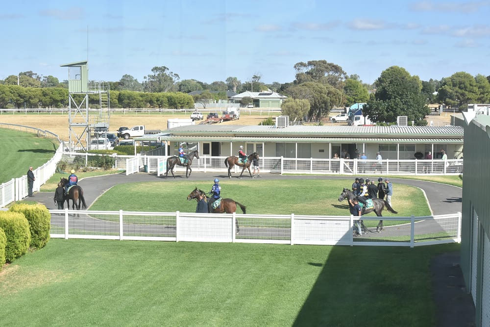 Donald Hosts Thoroughbred Trials post image