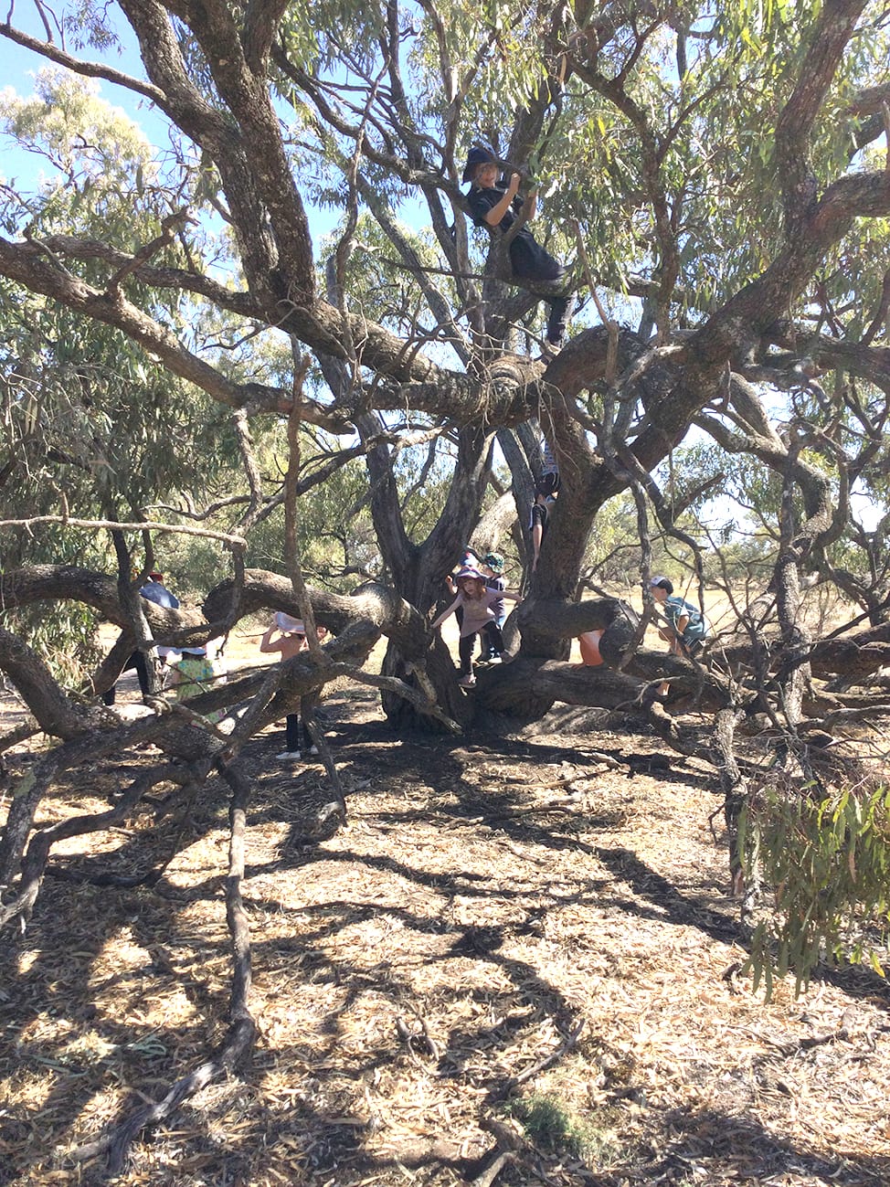 The Walsh Family Celebrates a Hundred Years at Litchfield post image