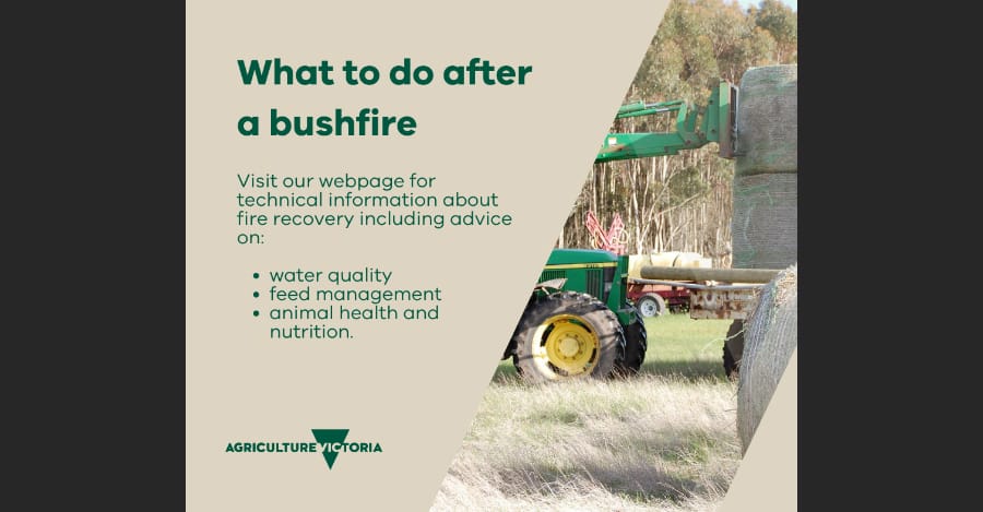 Support and Resources for Fire Affected Farmers post image