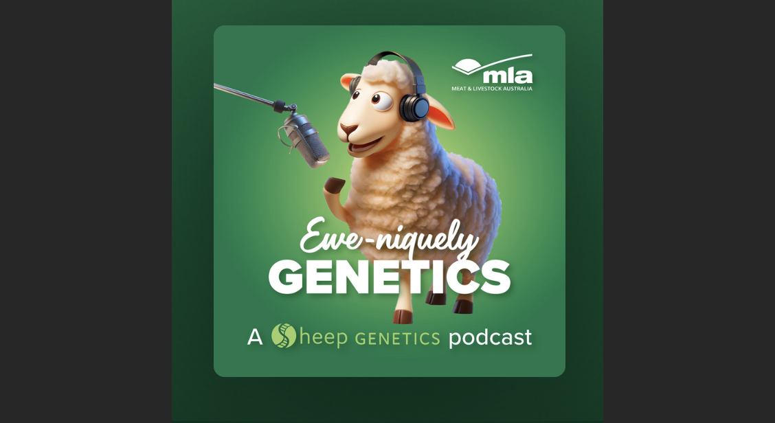 Ewe-niquely Genetics: a Brand-New Podcast post image