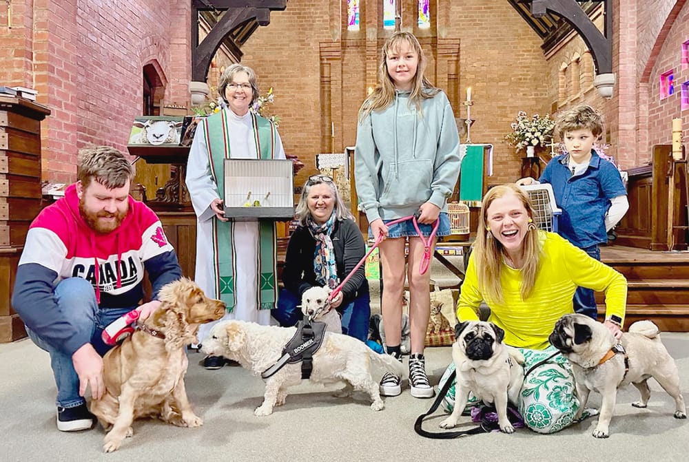 Our Pets are a Blessing post image