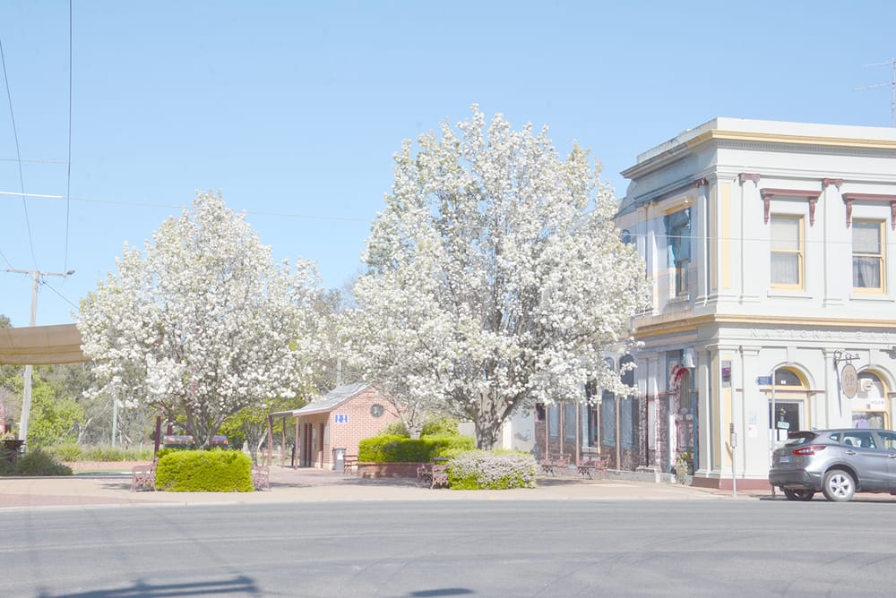 Mid-Town Mall Springs Into Life post image