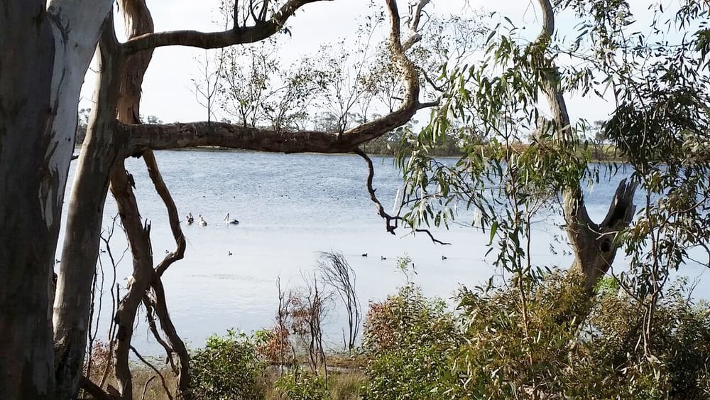 The Avon Plains Lakes and Wetlands: Repairing a Priceless Broken System post image