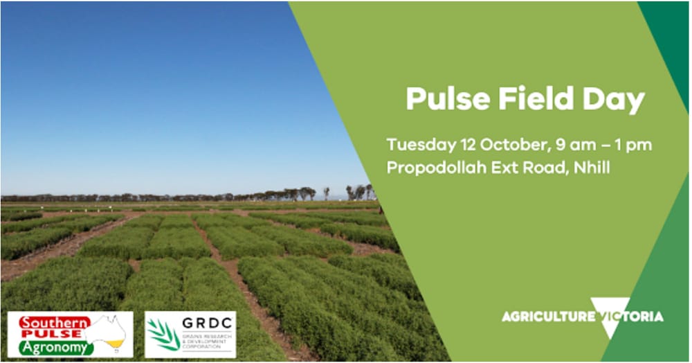 Pulses for Building Profit On Show at Nhill Next Week post image