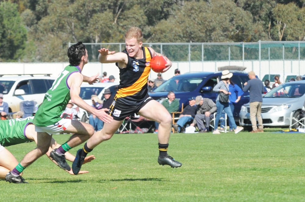 Tigers are Still the Team to Beat post image