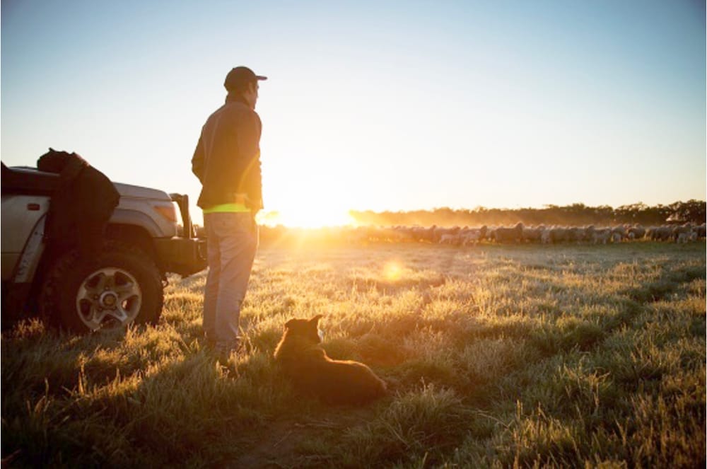 Supporting Mental Health in Our Farming Communities post image