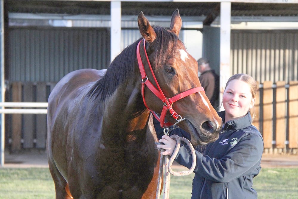 Double at Donald post image