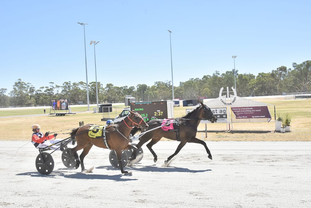 Local Cups Carnival post image