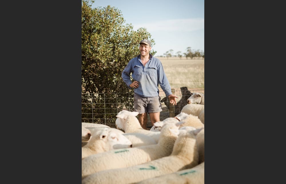 He’s More Than a Sea Lake-Nandaly Tiger: Joel Donnan is Zoetis Prime Lamb Producer of the Year post image