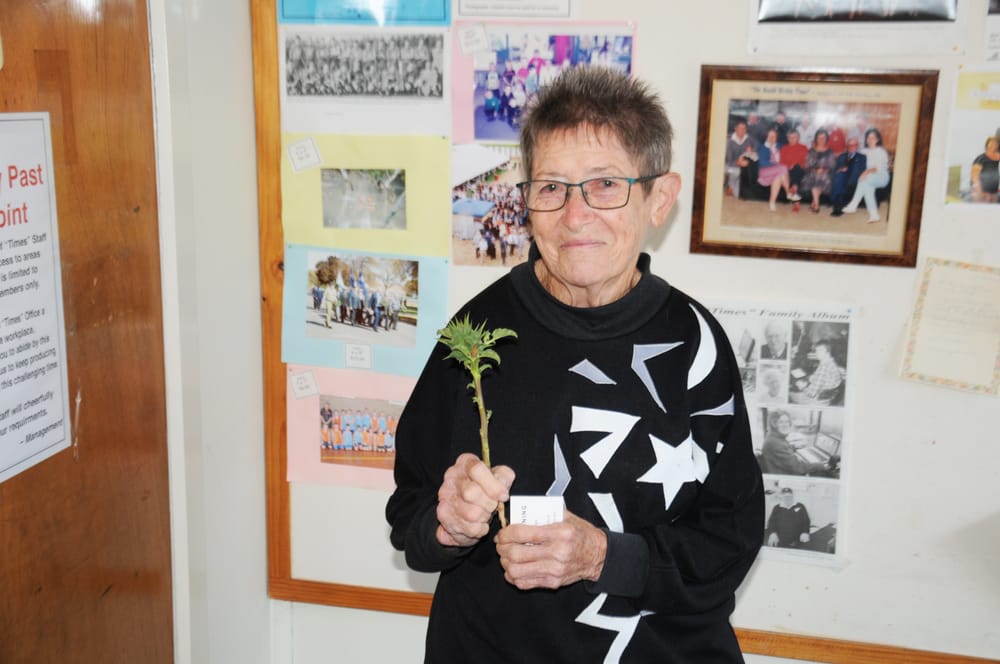 Don’t Try Blowing It post image