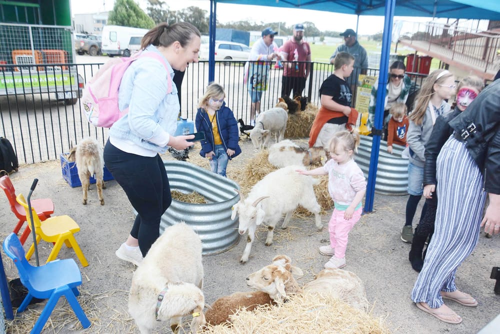 Saturday at the Donald Show — from Shearing to Sideshow Alley post image