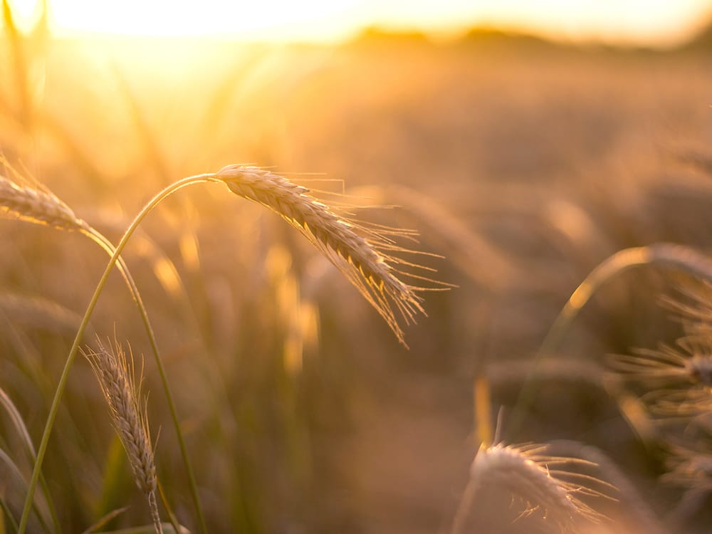 Hundreds Expected at Local Research Updates post image