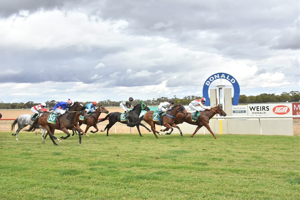 Donald Racing Back on Track post image