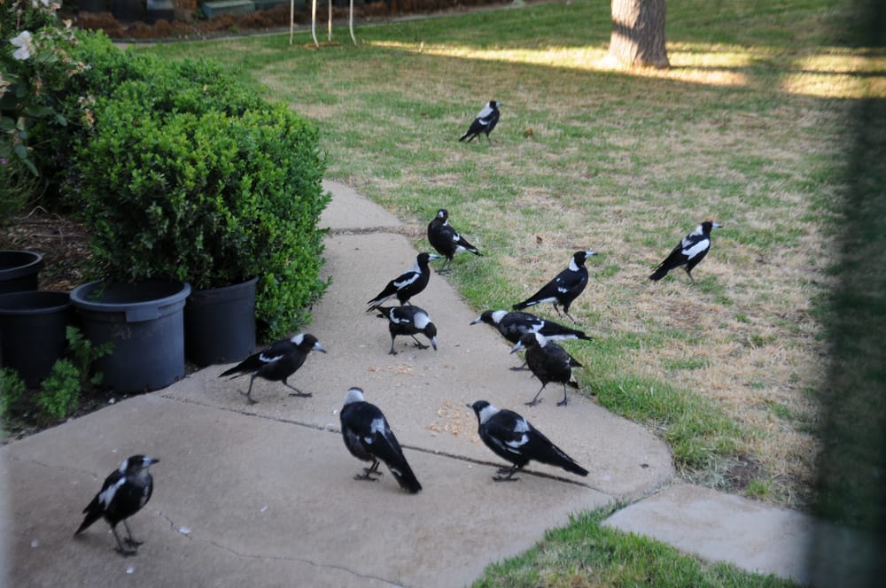 Friday, November 20, 2020 post image