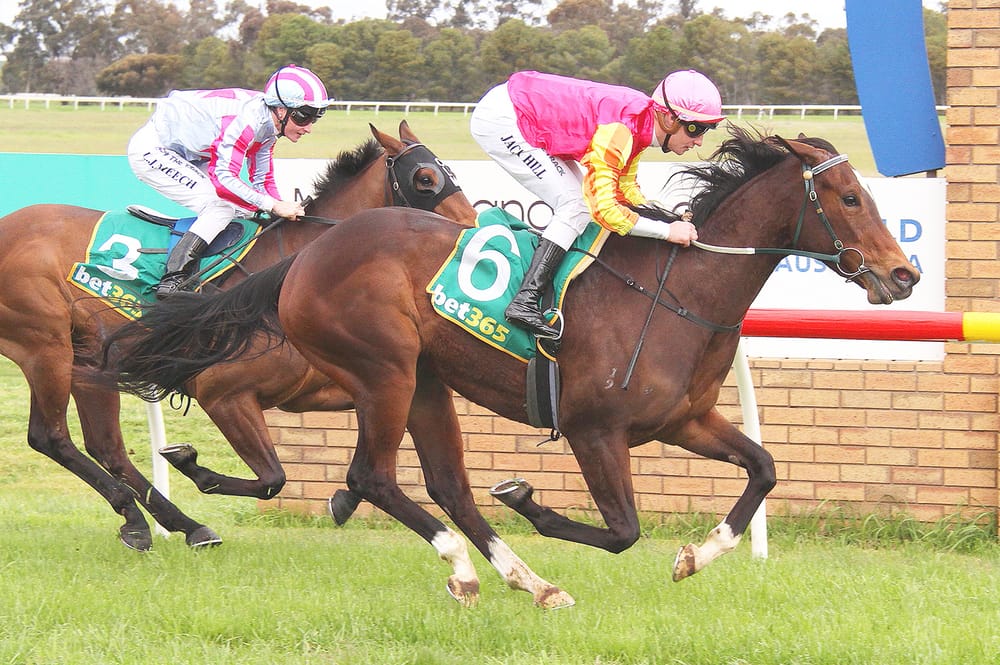 Donald Cup Day, Sunday post image