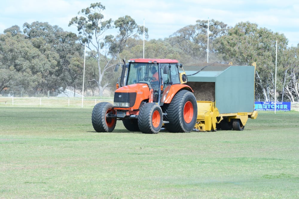 “Goff” Gets a Grooming post image