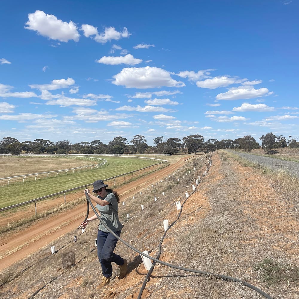 Wyche Landcare Group Gets the Job Done post image
