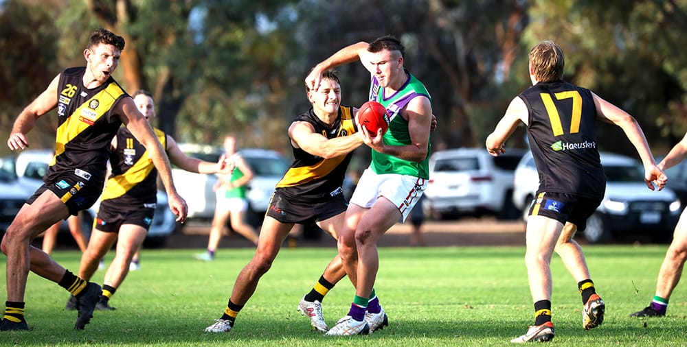 Can Tigers Tame Raging Bulls? post image