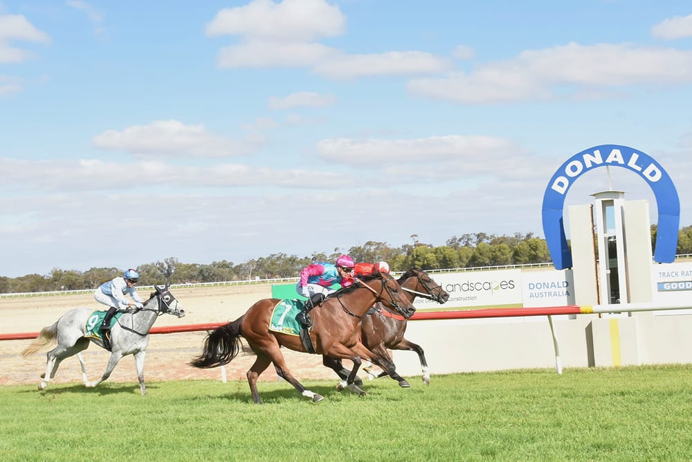 Dead Heat at Donald Races post image
