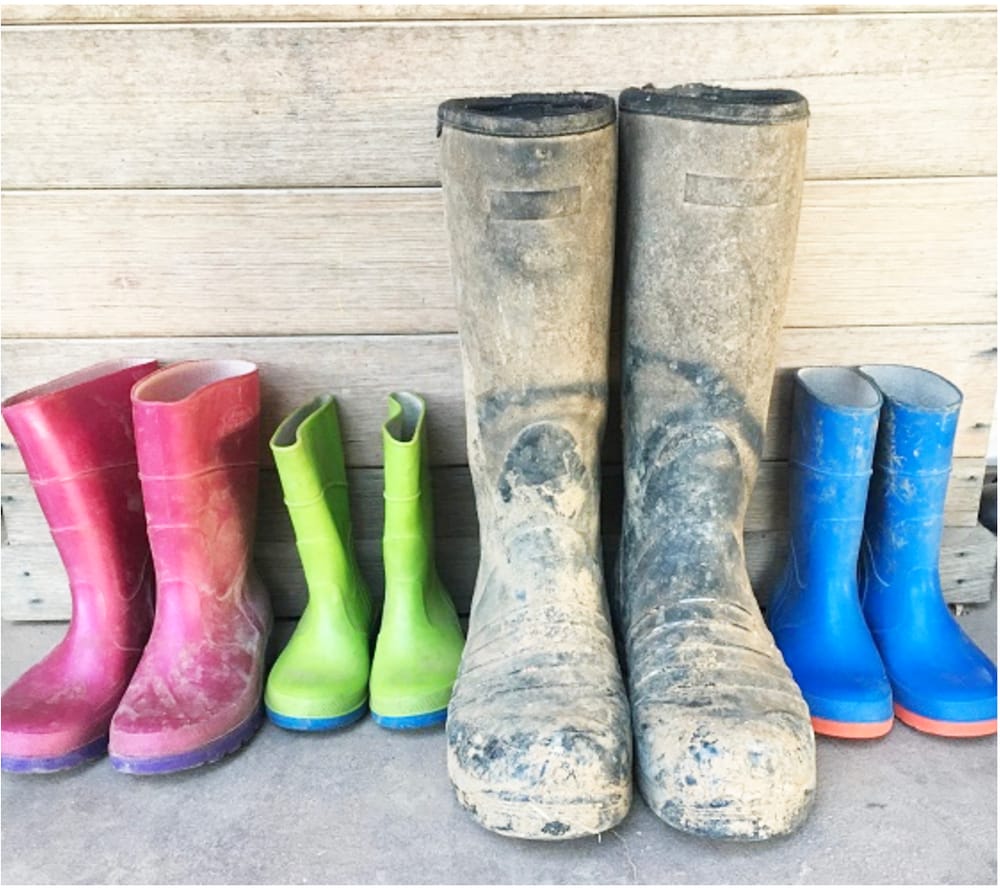 A Move to Increase Safety on the Farm post image