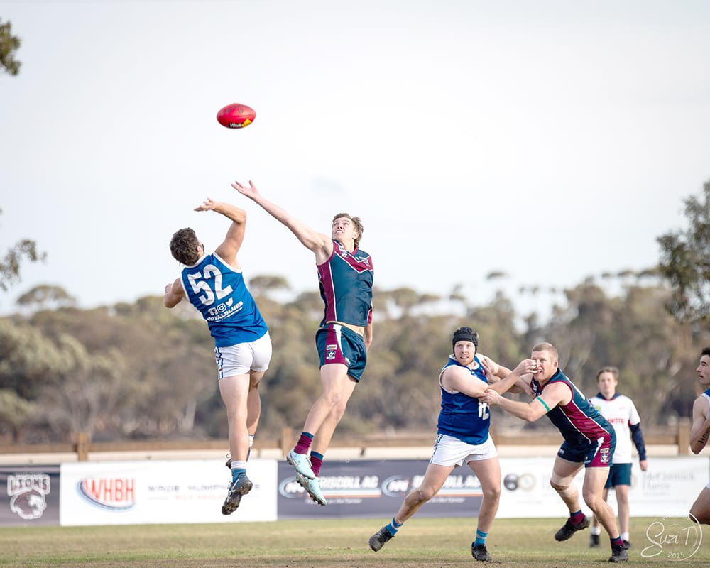 Lions Take Second Place post image