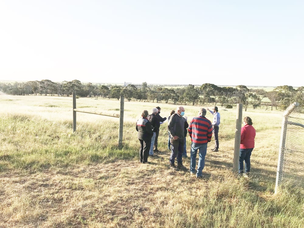 Mount Wycheproof Path Proposal post image