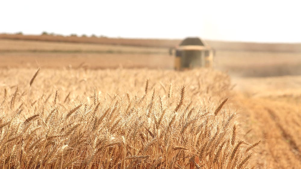 Interstate Used Grain Machinery: Consider Before You Buy post image