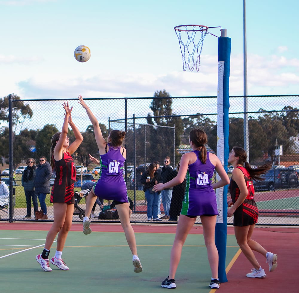 Full Netball Program at Wedderburn post image