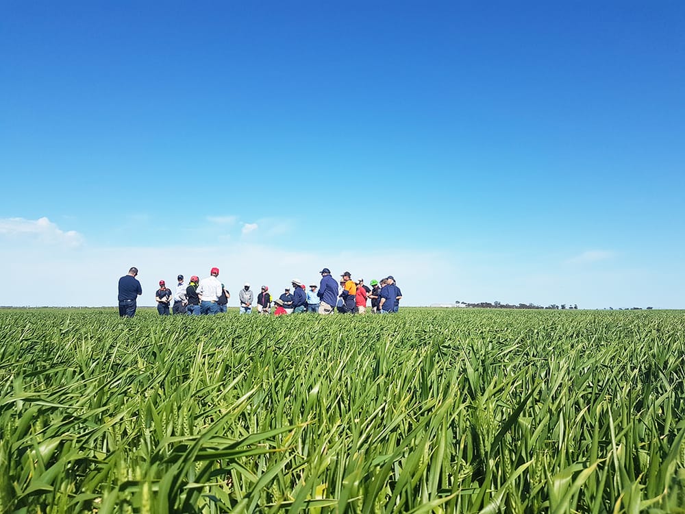 Register for BCG’s Young Farmer Network post image