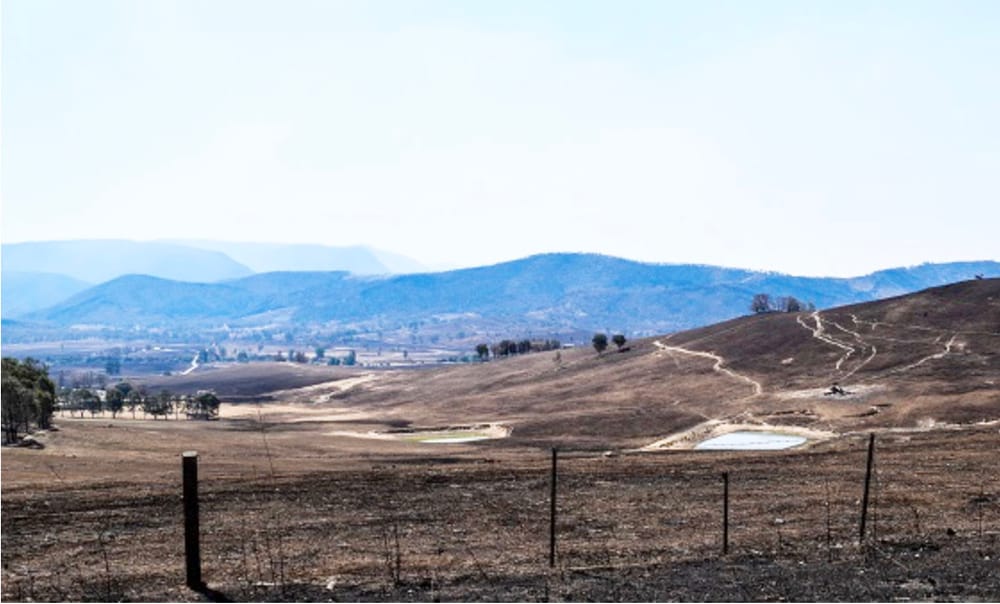 Make the Time to Finalise Your Livestock Fire Plan post image