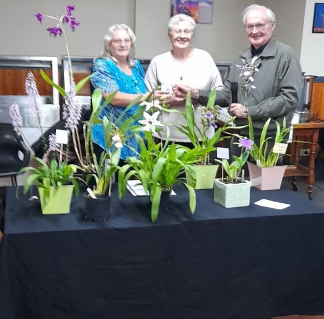 A Blooming Good Floral Display post image