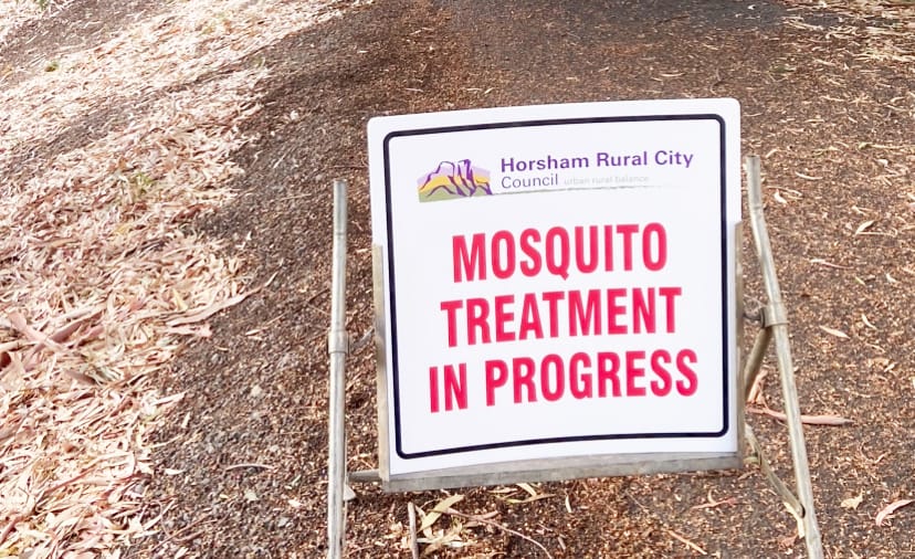 Adult Mosquitoes Targeted After Disease Transmission post image