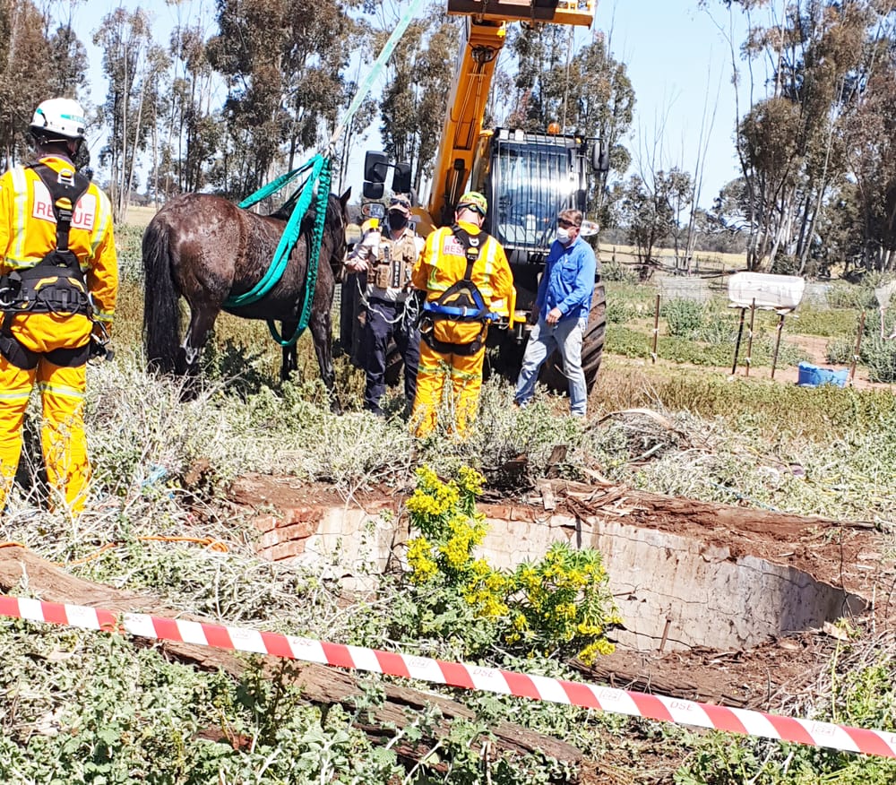 Friday, October 16, 2020 post image