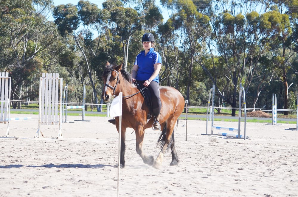 Buloke Equestrian Club August Rally post image