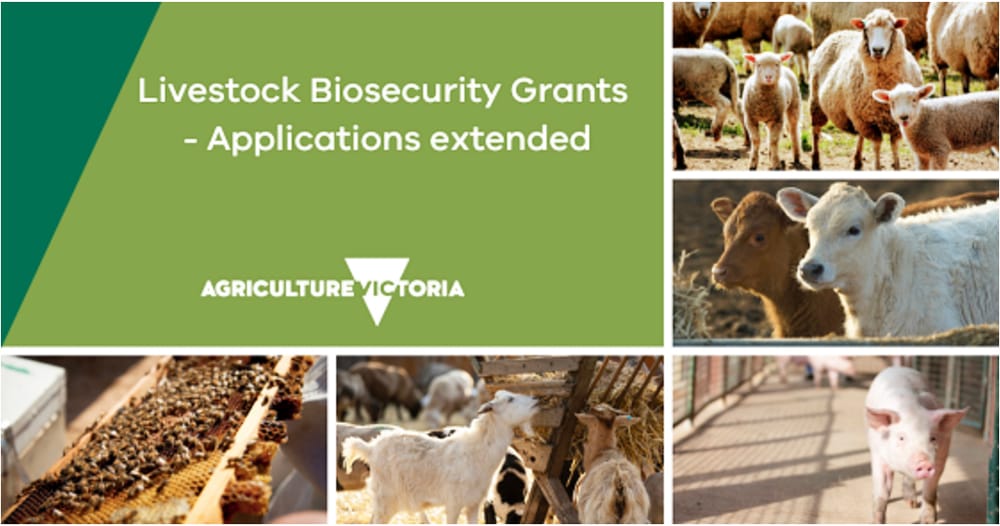 Biosecurity Grants: Applications Extended post image