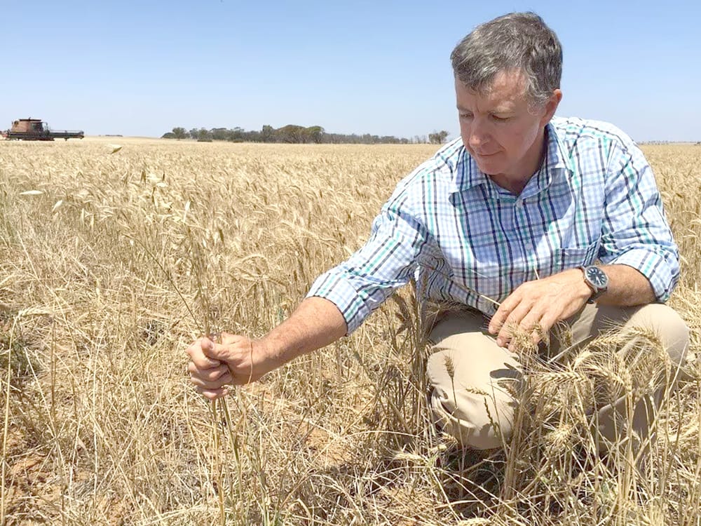 Friday, July 4, 2025 post image