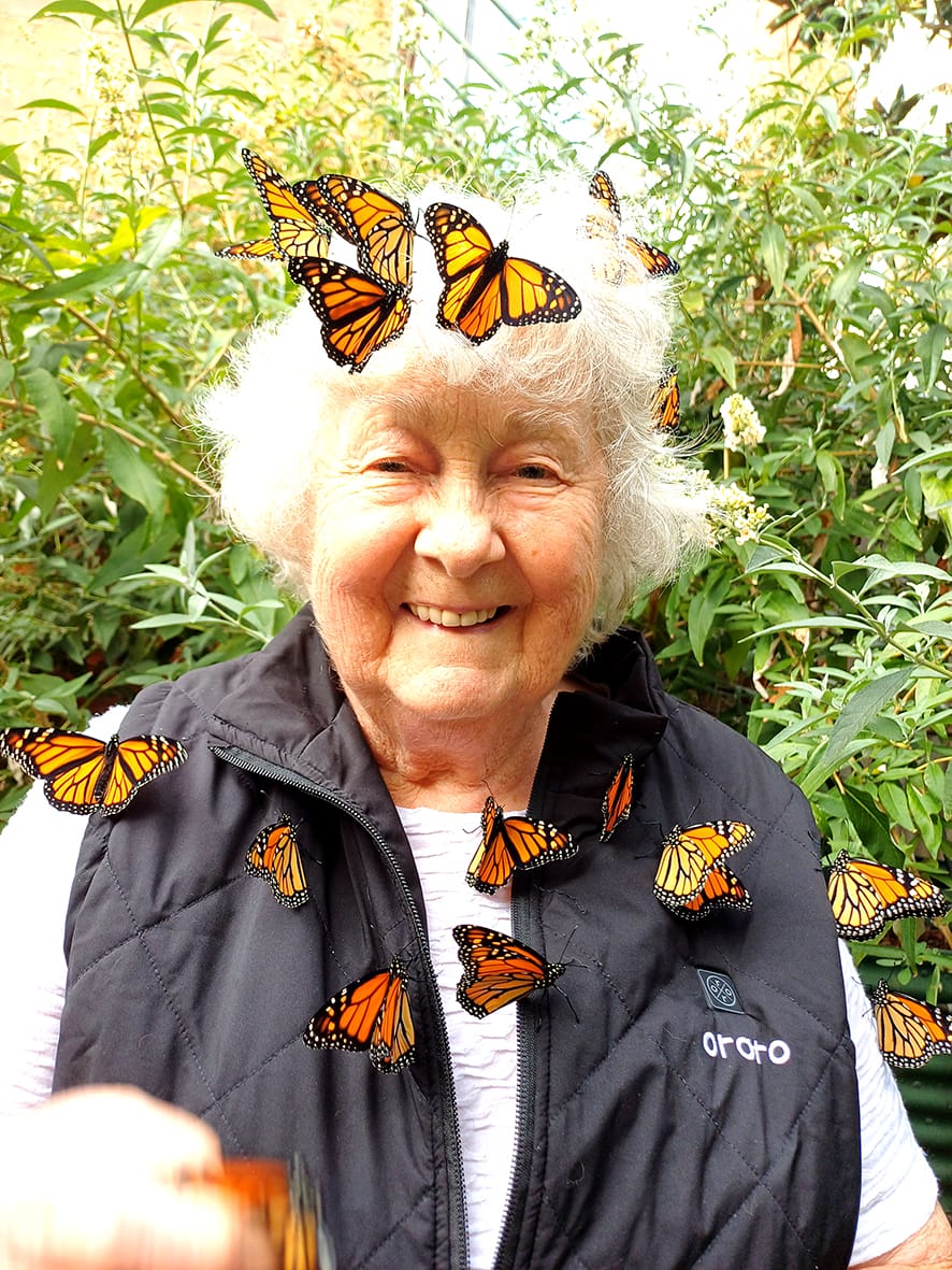 Our Only Bible Museum Reopens post image