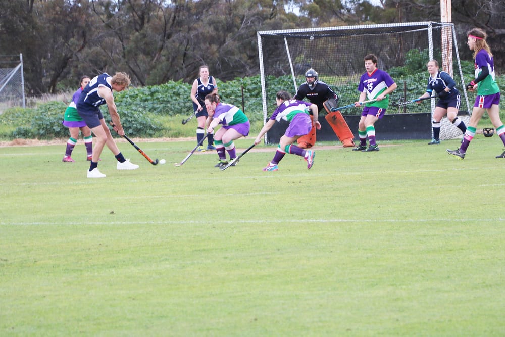 North-Central Hockey post image