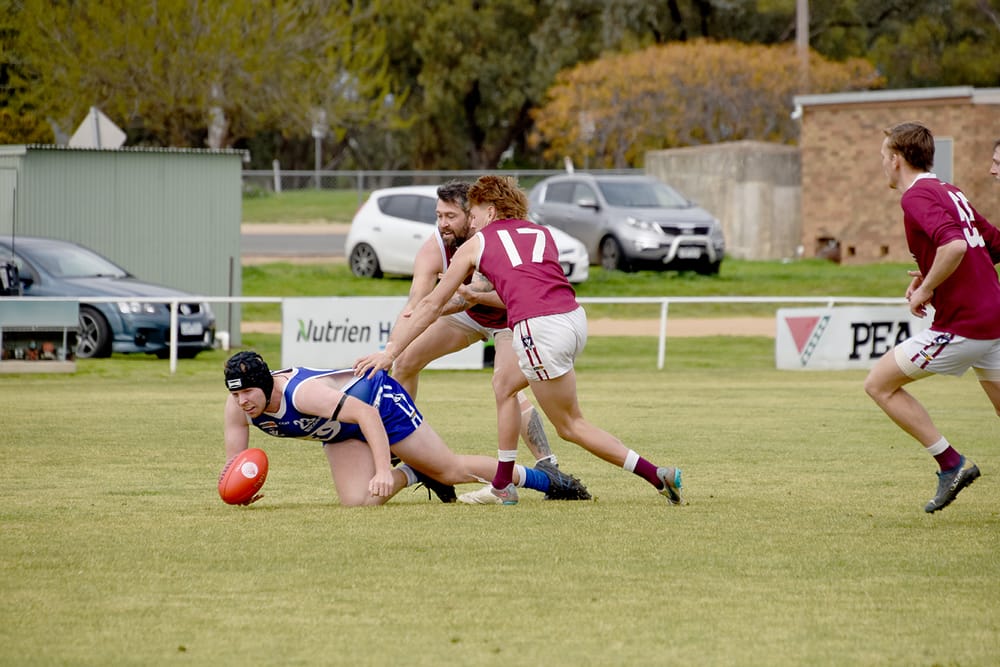 Donald Reserves Fall Well Short, but . . . Keep On Having a Go! post image