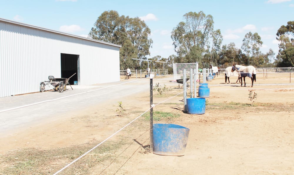 Punters Collect at Charlton Trots post image