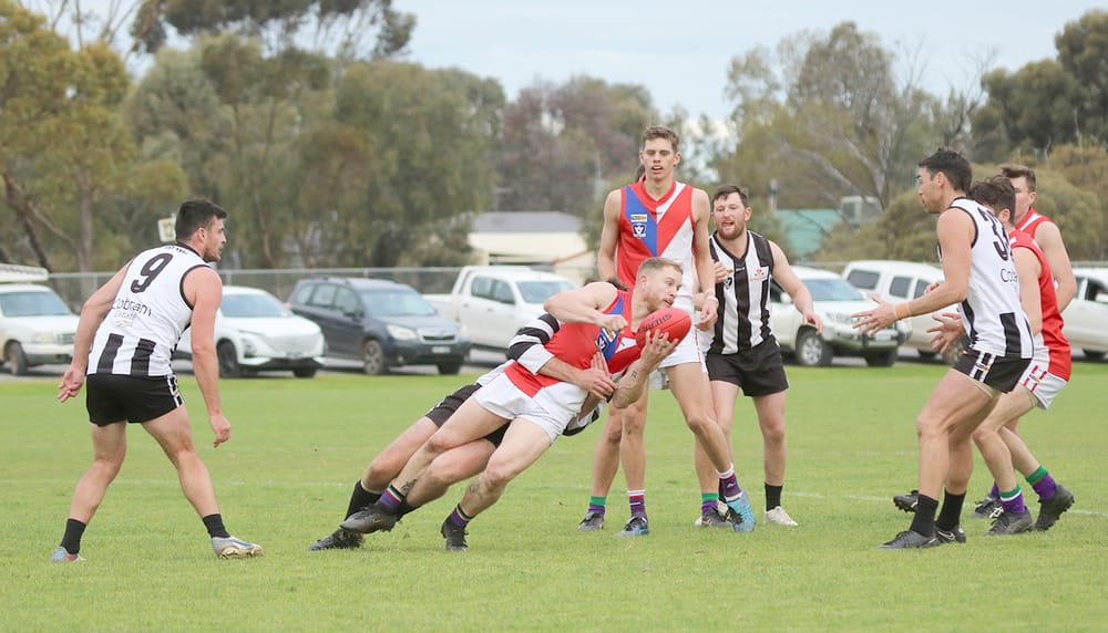 Bulls Demolish Magpies En Route to Finals post image