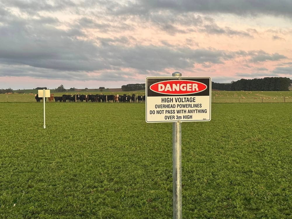 VFF Condemns Incursion On To Farm Properties post image