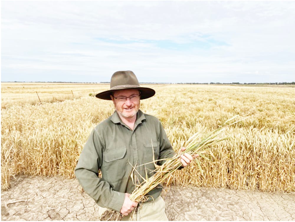 Be Proactive in Crop Disease Management post image